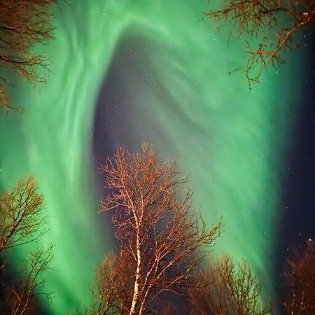 Leilighet I Nord 特罗姆瑟 外观 照片